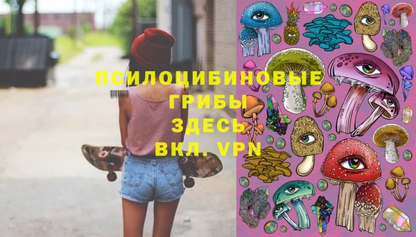 jwh Алзамай