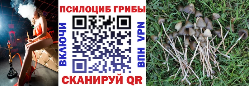 Галлюциногенные грибы MAGIC MUSHROOMS  купить закладку  Строитель 